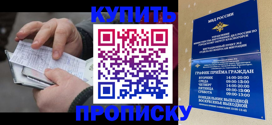 временная регистрация недорого в Печорах